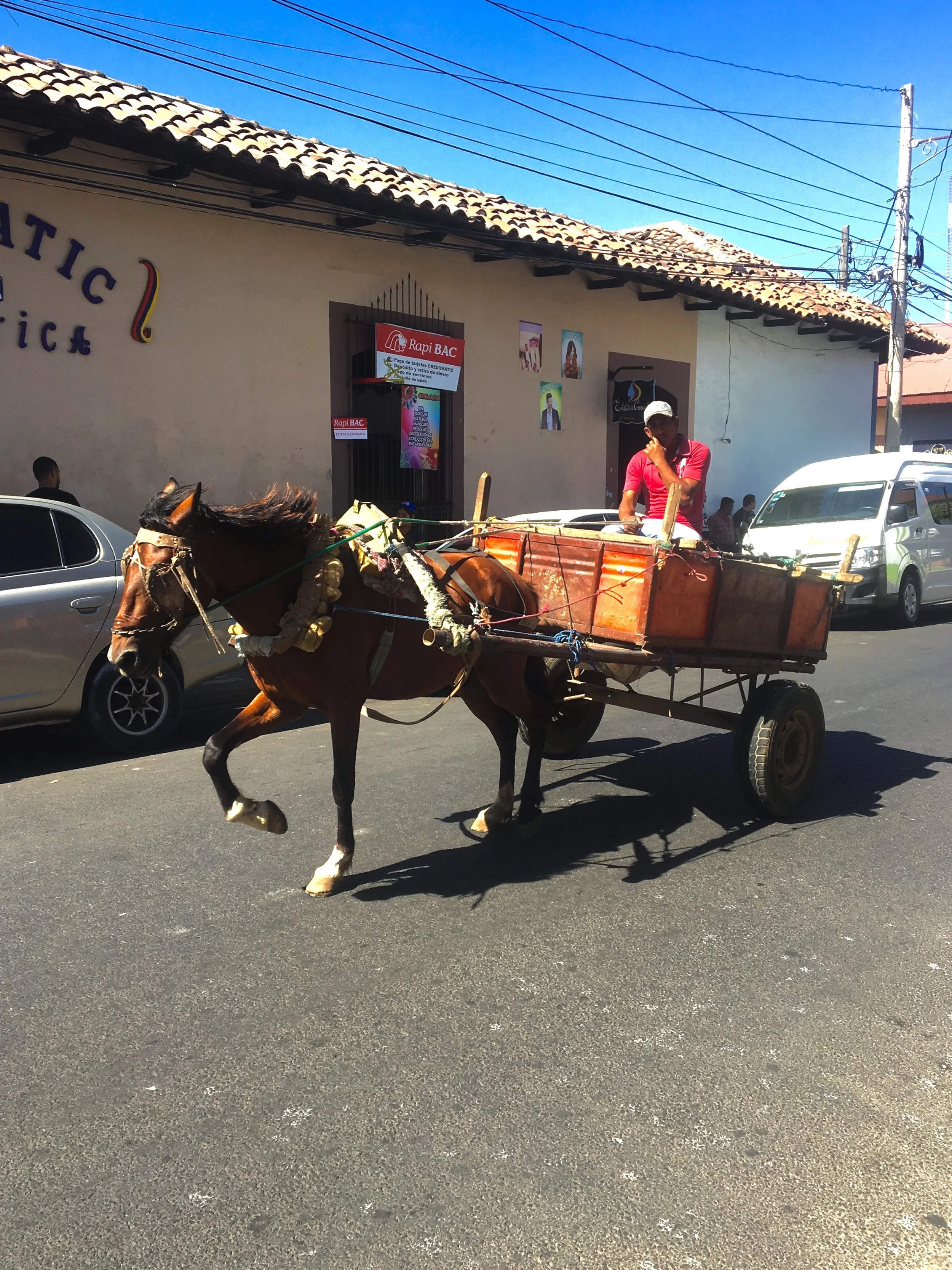 Horse buggy Photo by Ana.jpg