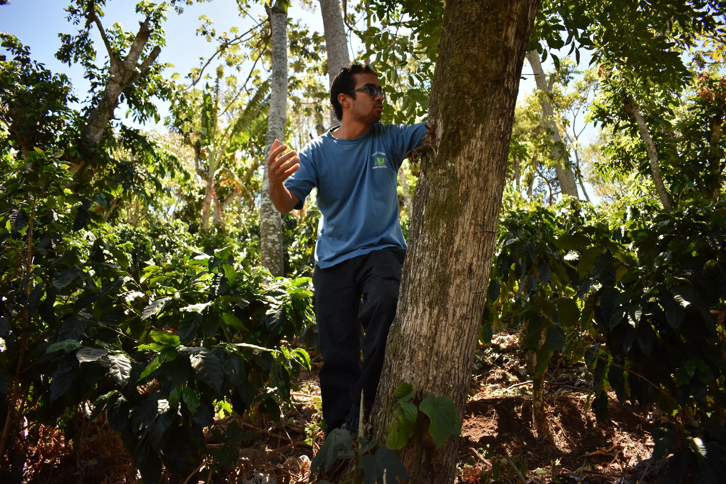 DSC_0285.JPG