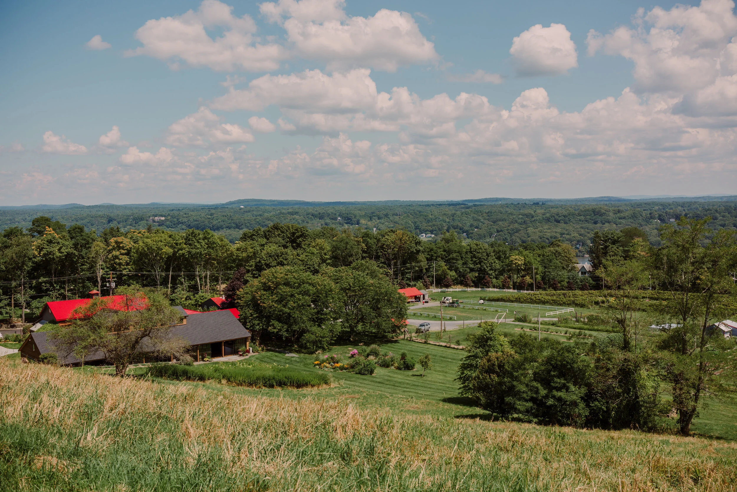 LEAH RedMapleVineyard_Property-74.jpg