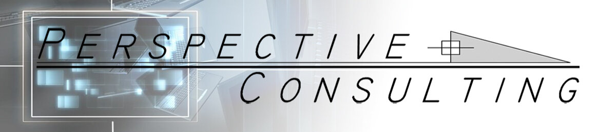 Perspective Consulting