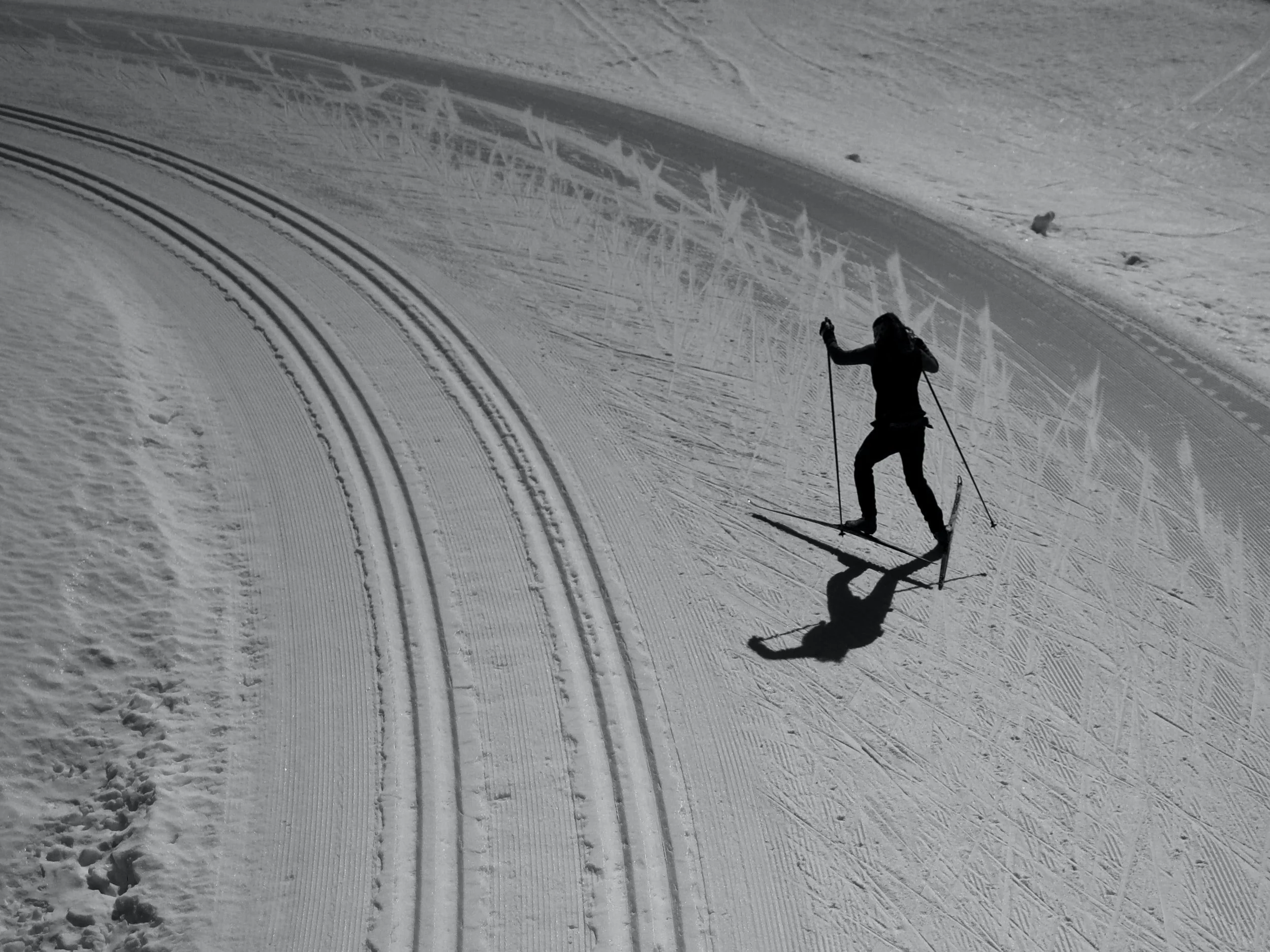 Biathlon Saskatchewan Provincial Championships 2022
