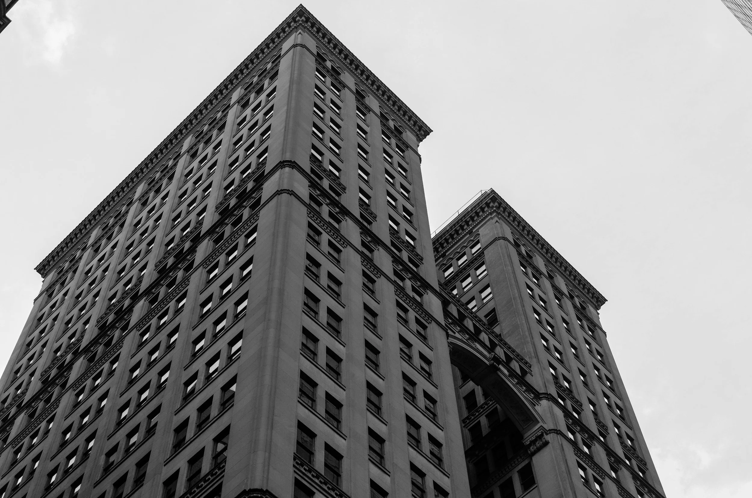 DSC_0442.jpg
