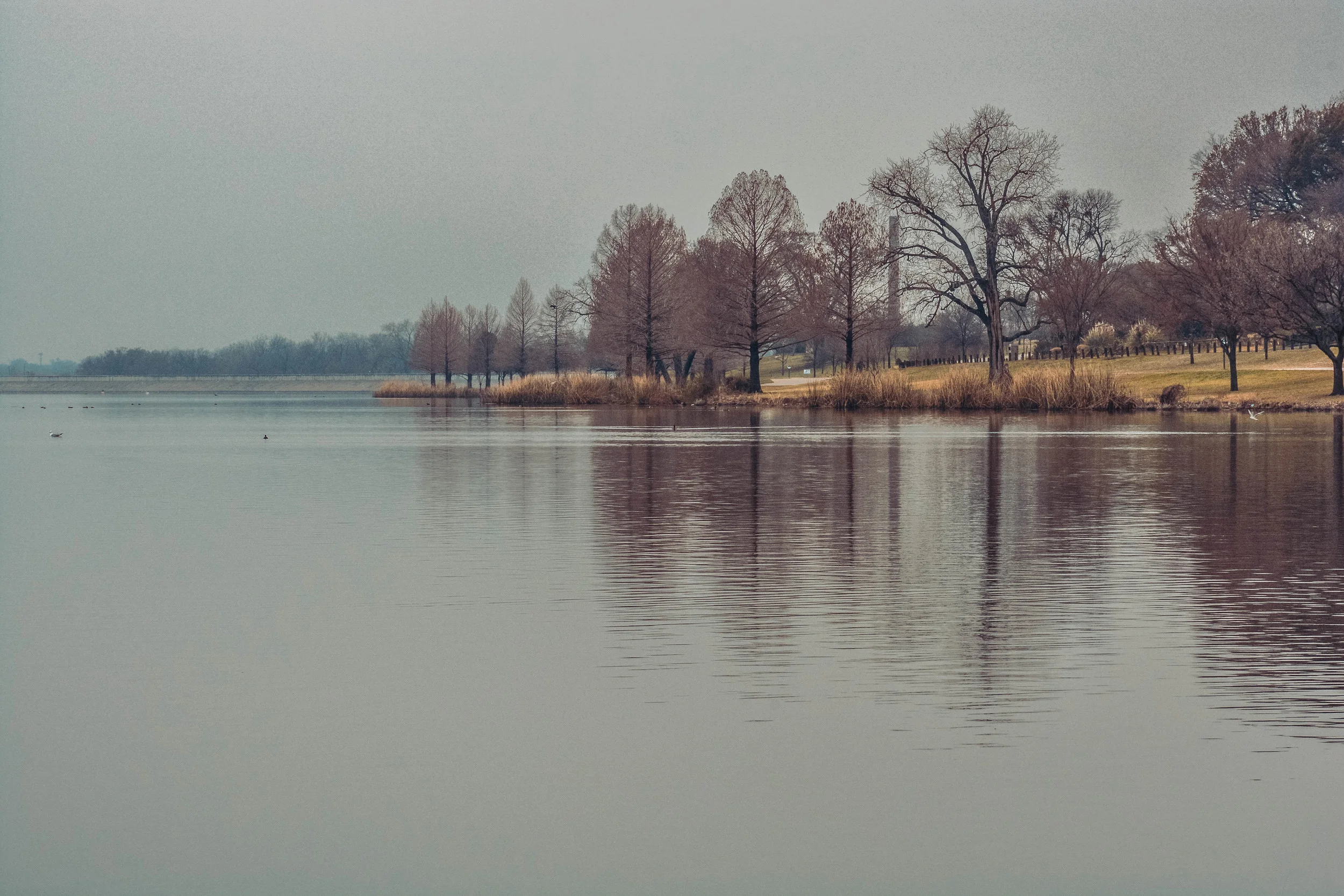 DSC_0603.jpg