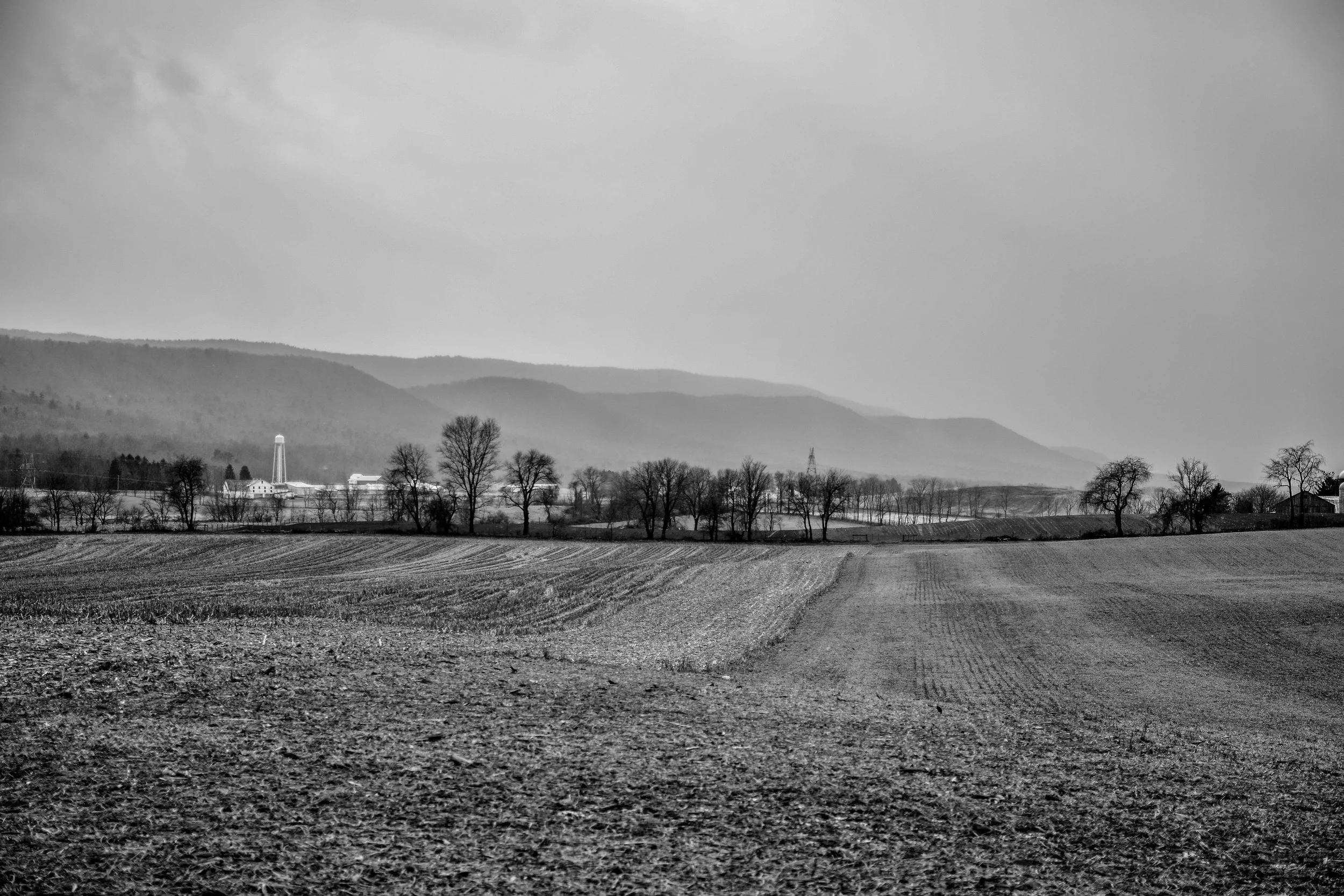DSC_1664.jpg