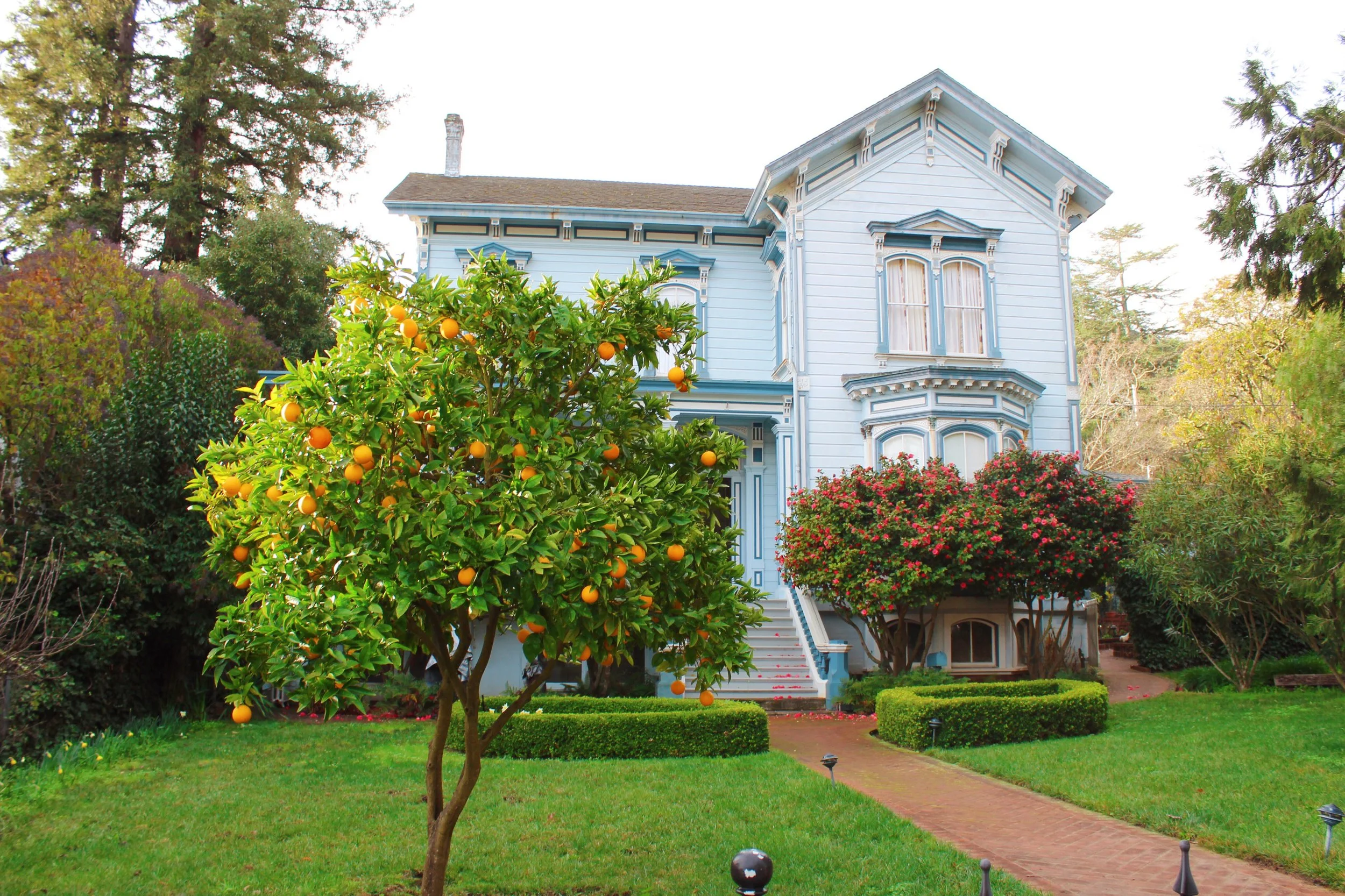 When life gives you lemons