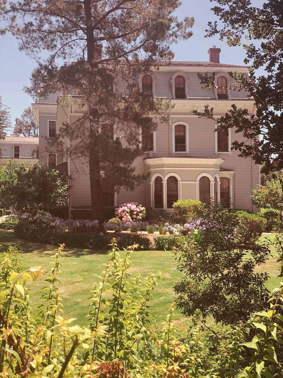 Pinch me, I’m still dreaming 