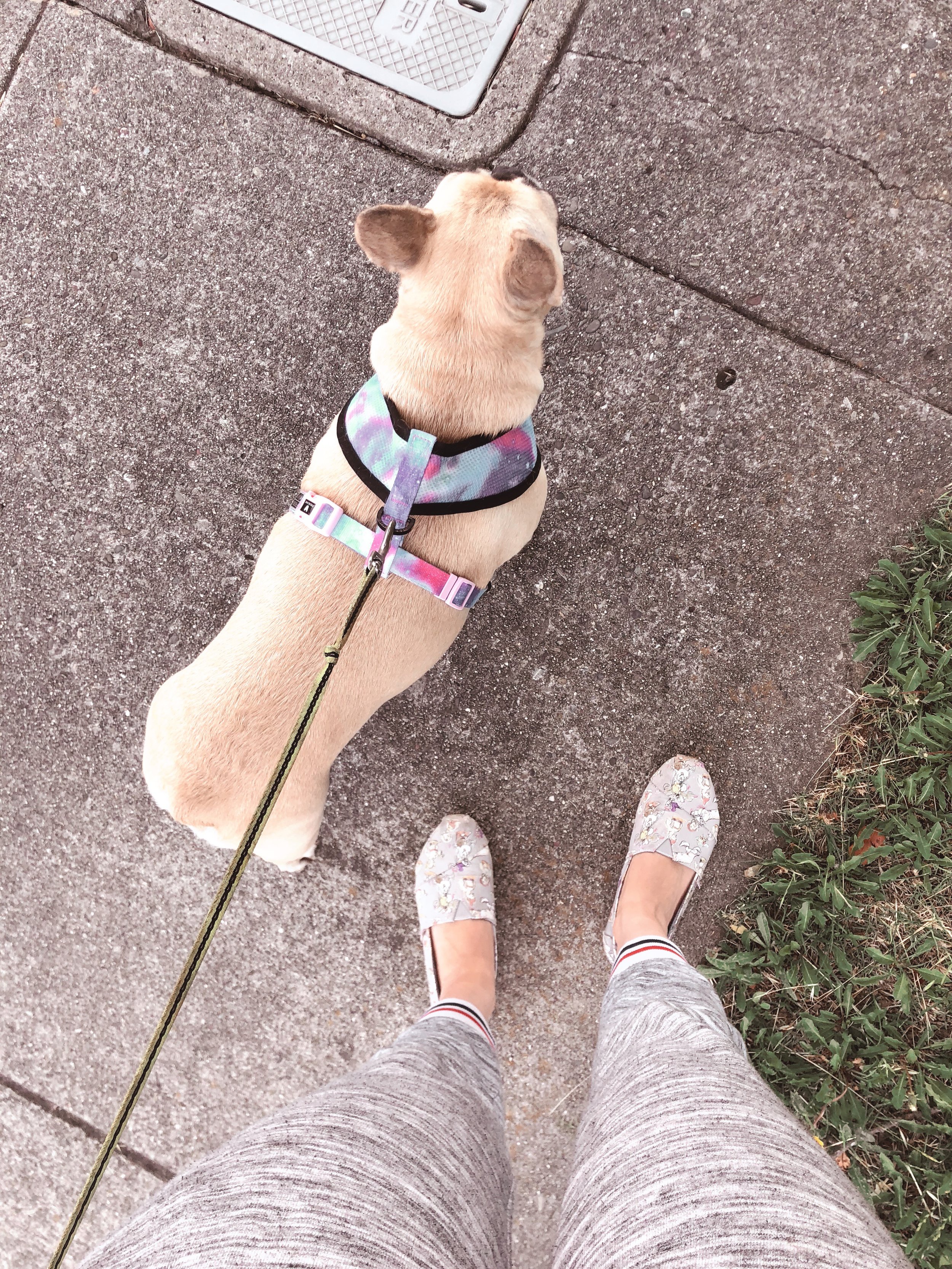 Taking it each day at a time