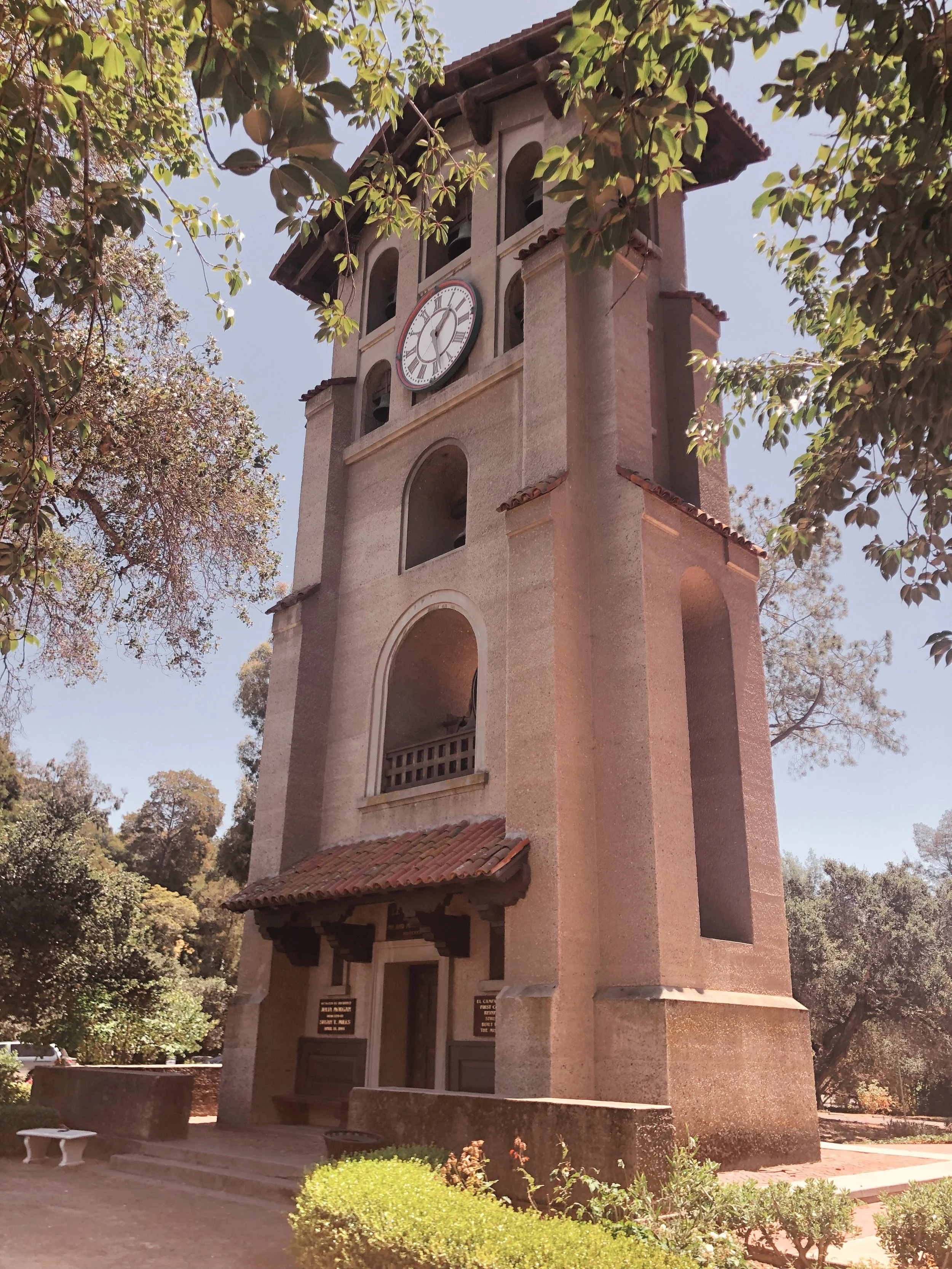 Holding tight to my “why”