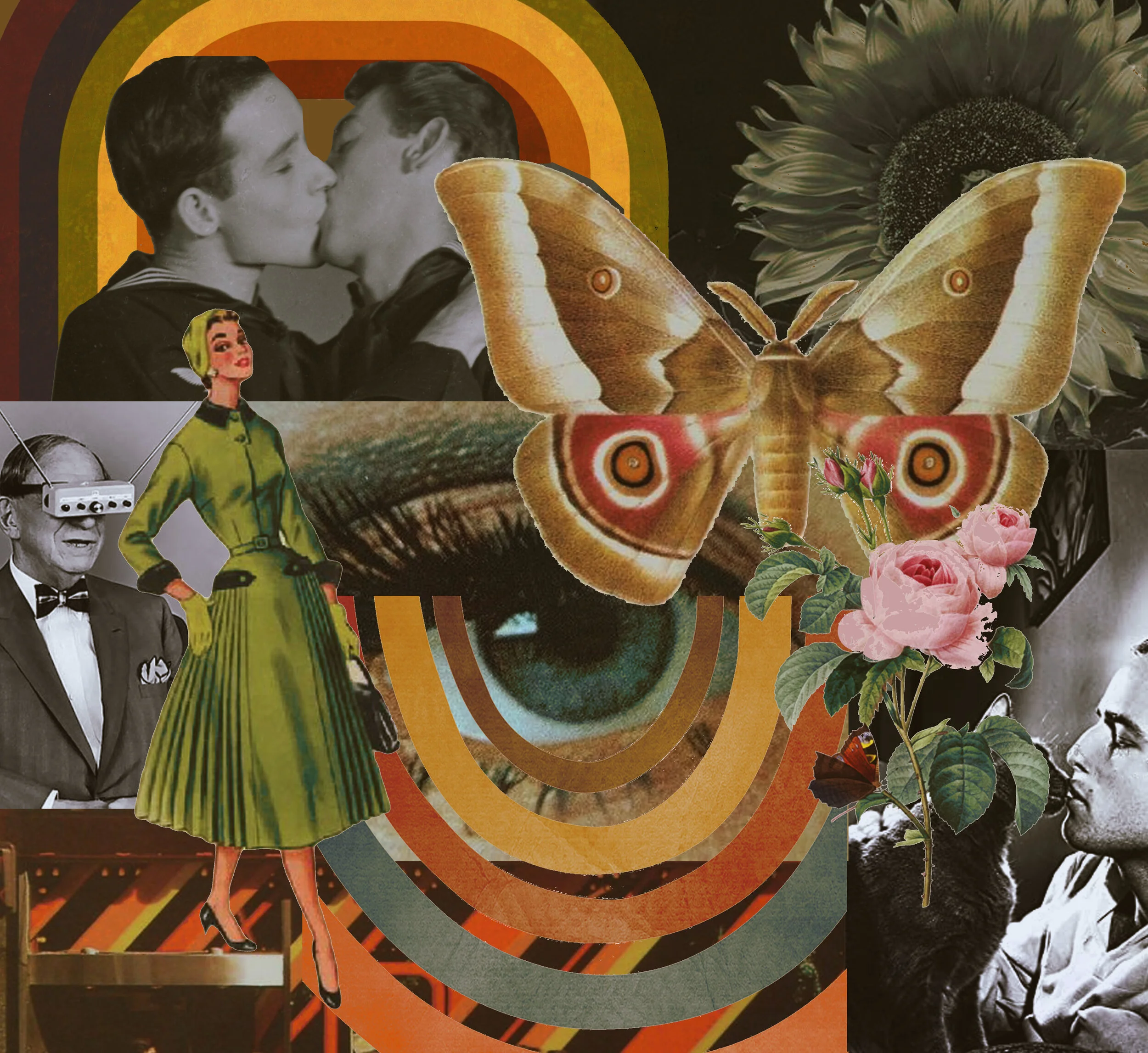 collage.jpg