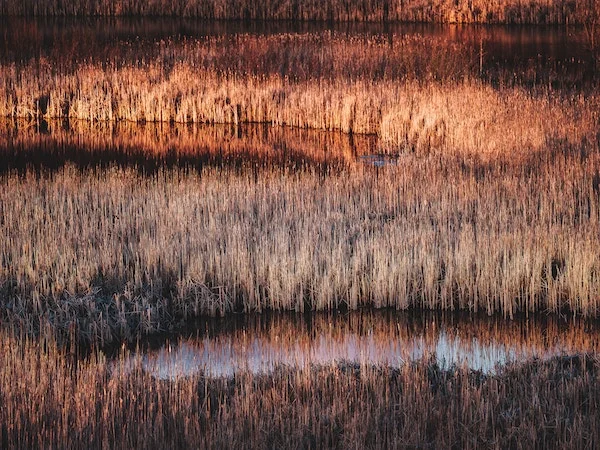 credit: bryan minear | unsplash