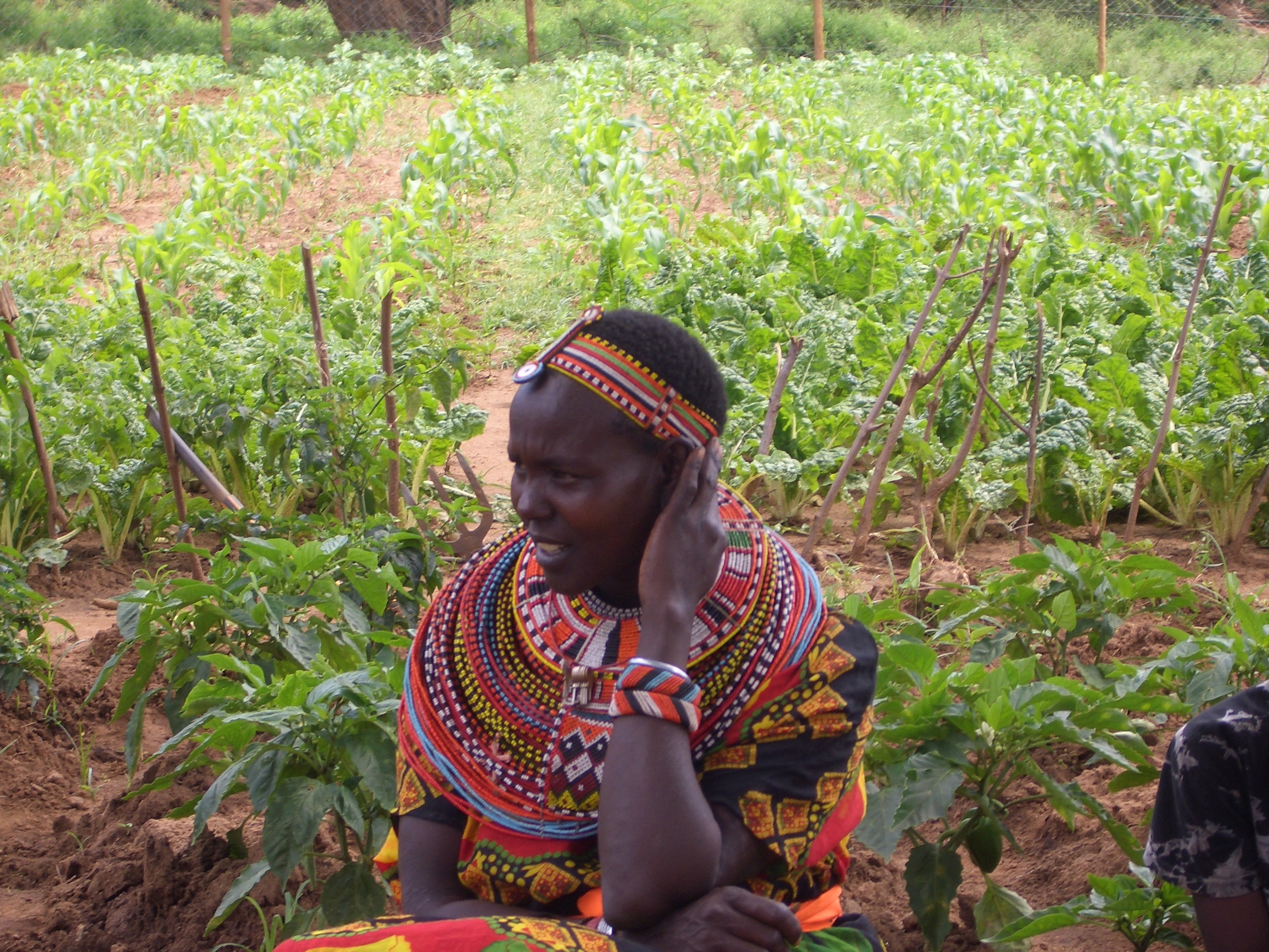 Community Garden Water Access Samburu Kenya Africa