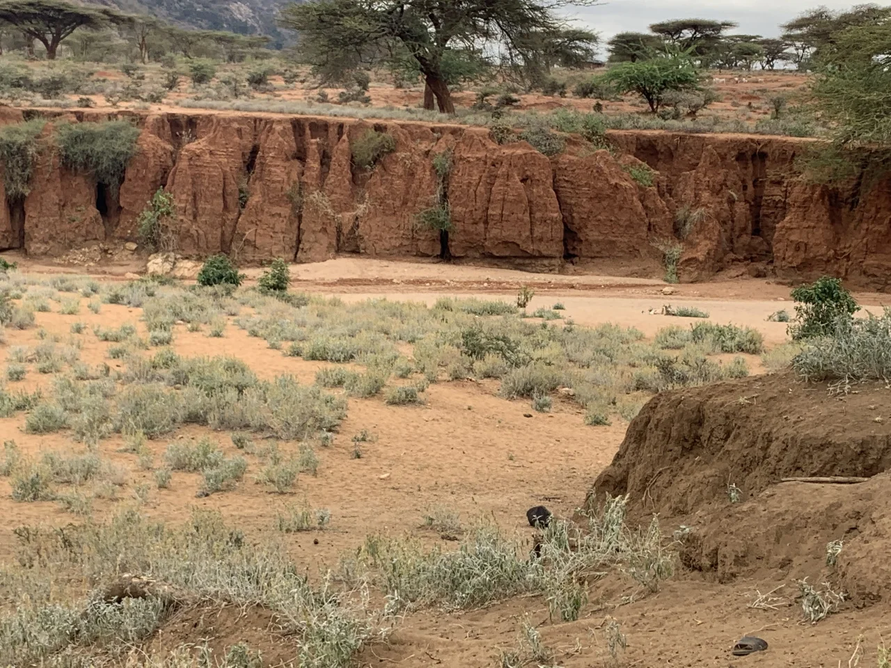 This outcrop in the Wamba river gives you a good sense of what a beautiful shade the dirt is