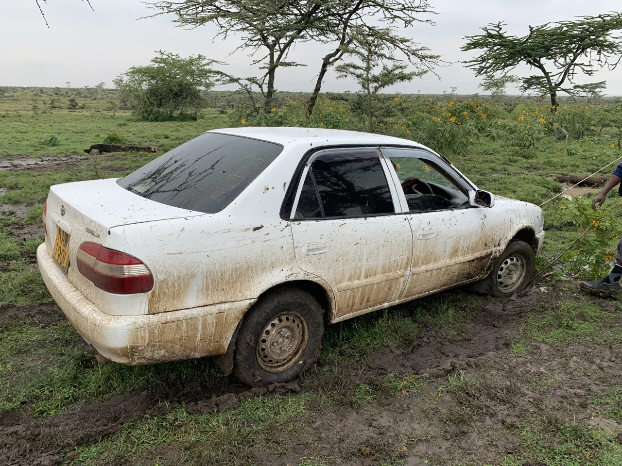 Toyota Corollas are in fact *not* off road vehicles