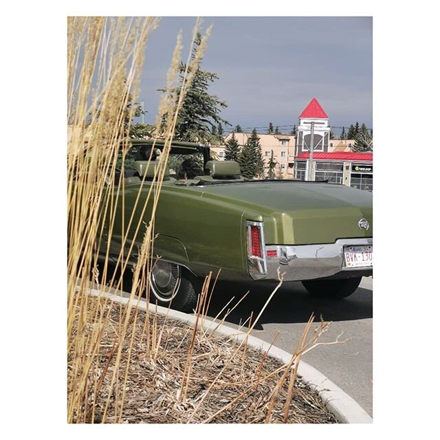 Cadillac Eldorado at Starbucks drive thru.
.
.
.
#cadillaceldorado #drivethru #vintagecars #calgary #alberta #canada