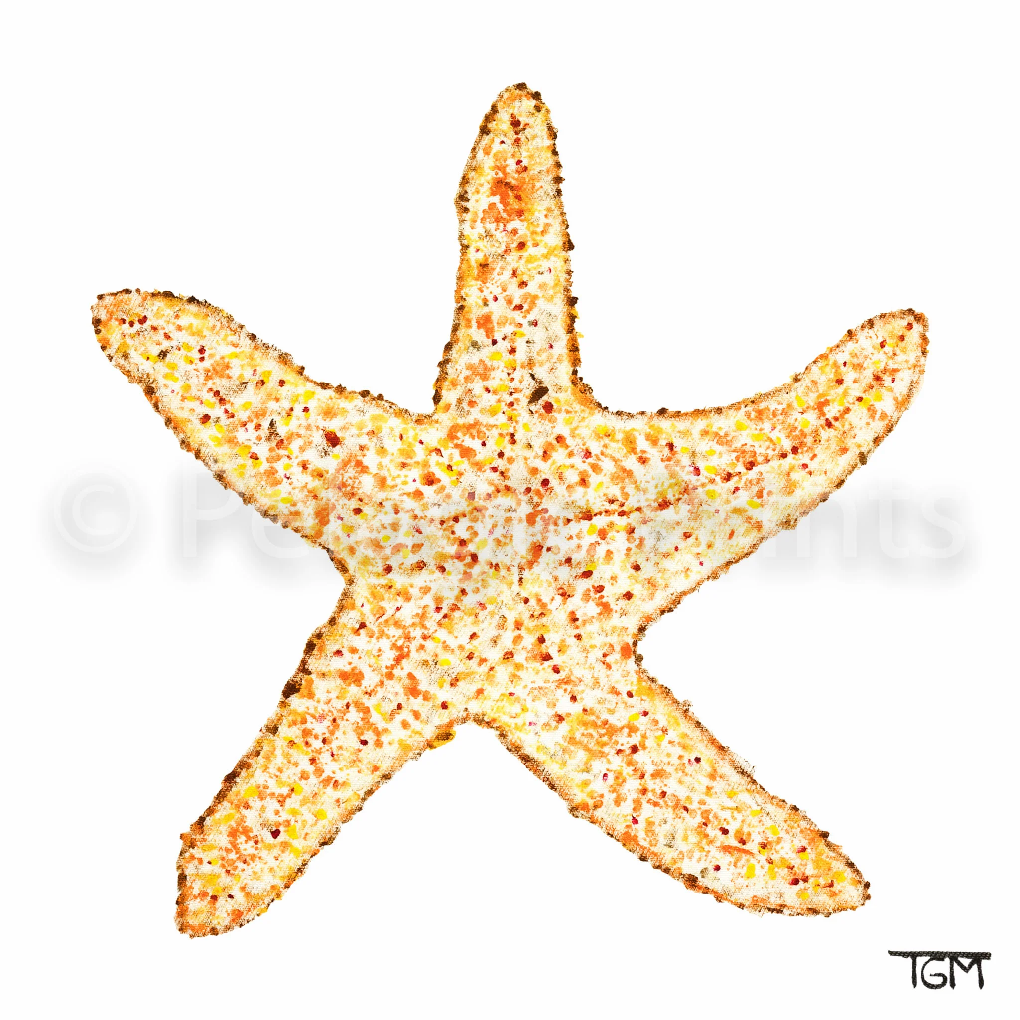 18STARFISH_2015-10x10.jpg
