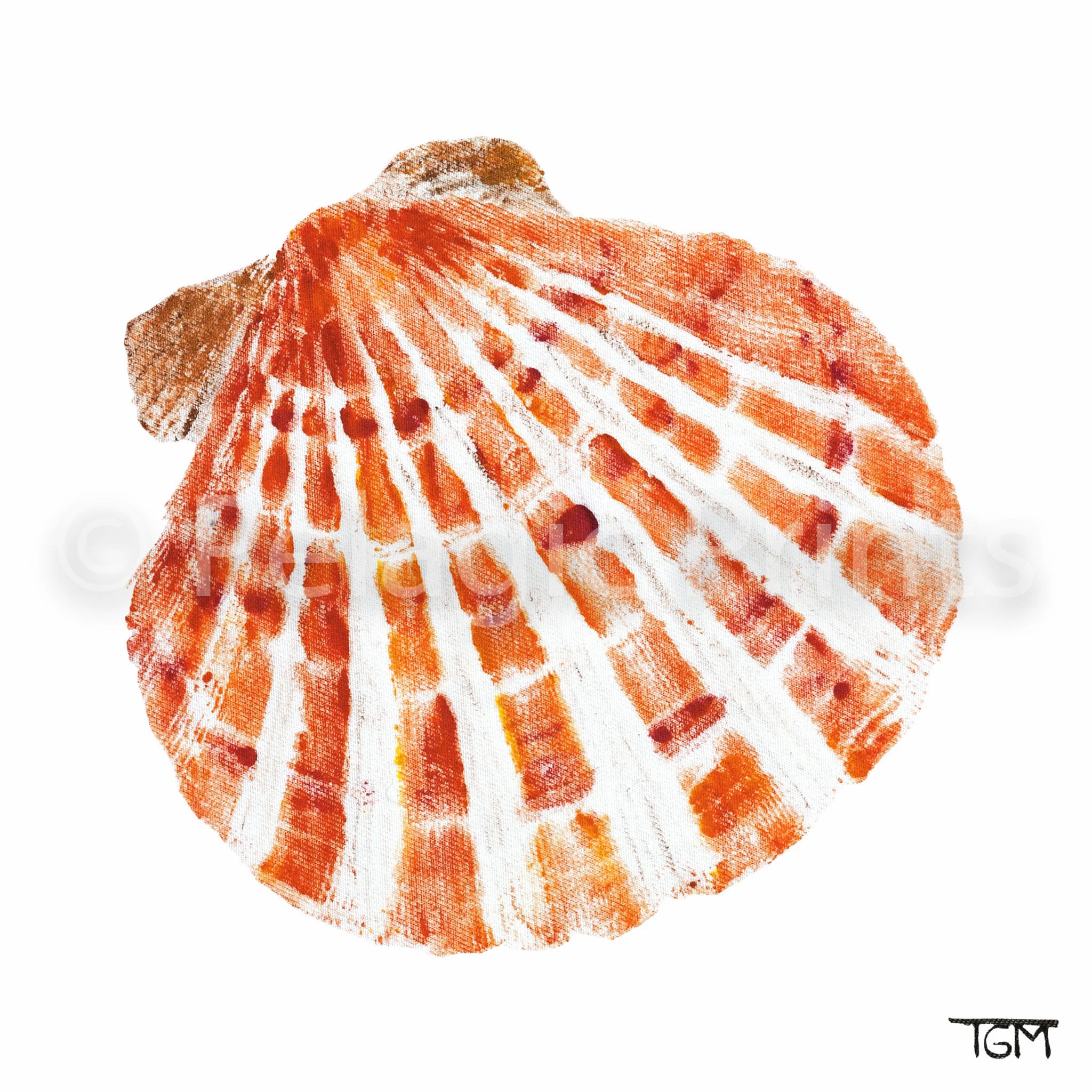 17SEASHELL_2015_10x10.jpg