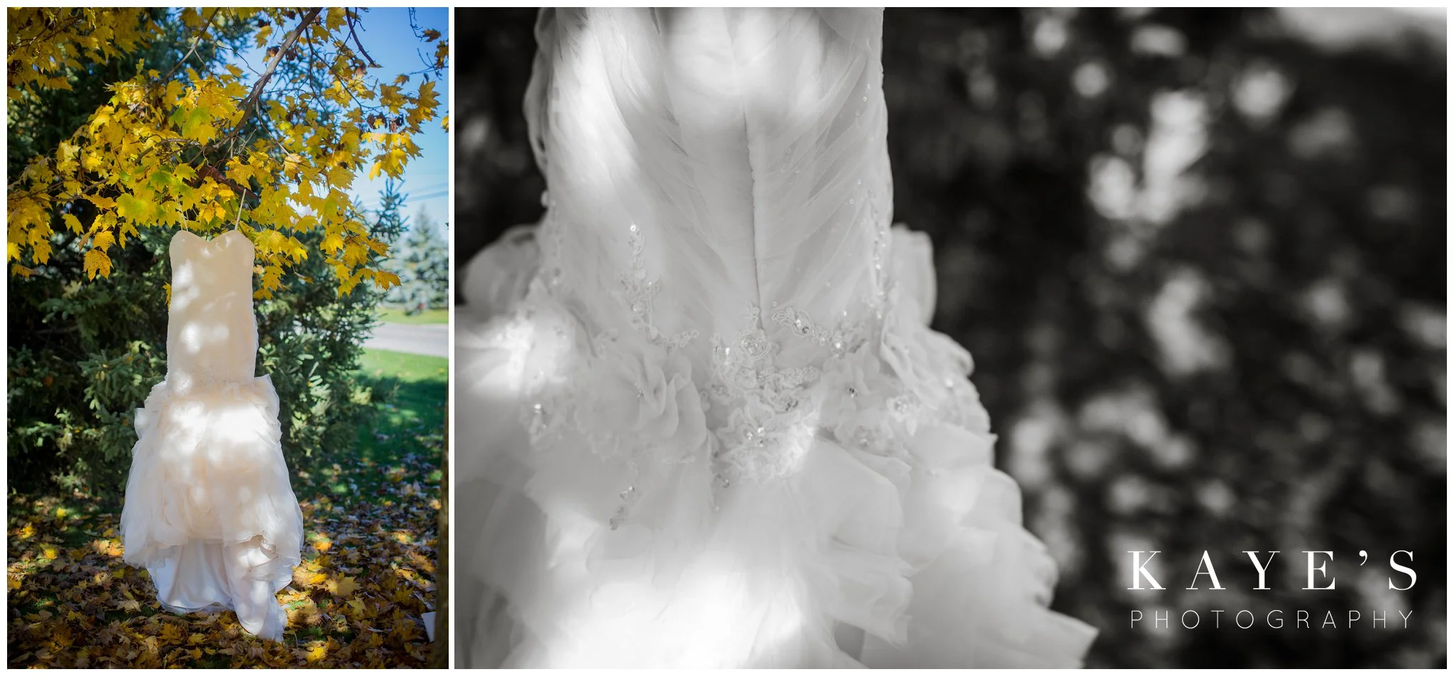 Howell Michigan Wedding photographer, engagement photos photography wedding best photographers best photo marriage photos best wedding photos wedding portraits