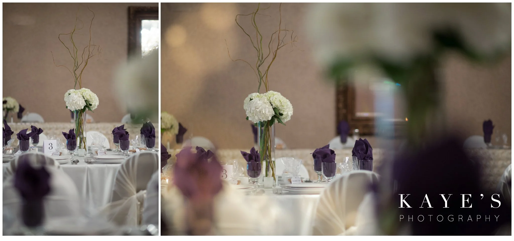 Kayes Photography- howell-michigan-wedding-photographer_0636.jpg