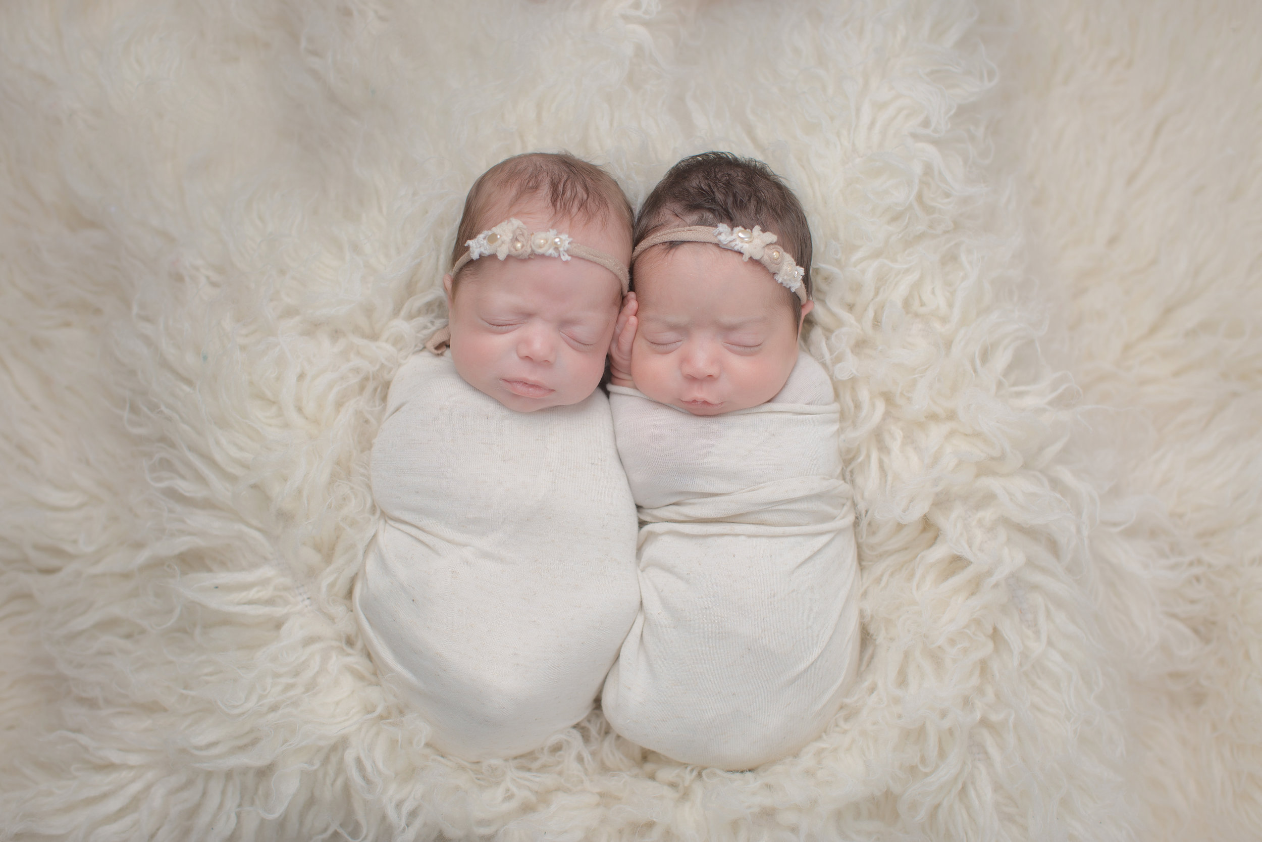 quadruplet-newborn-portraits-multiple-photographer-newborn-photos-babies-photos