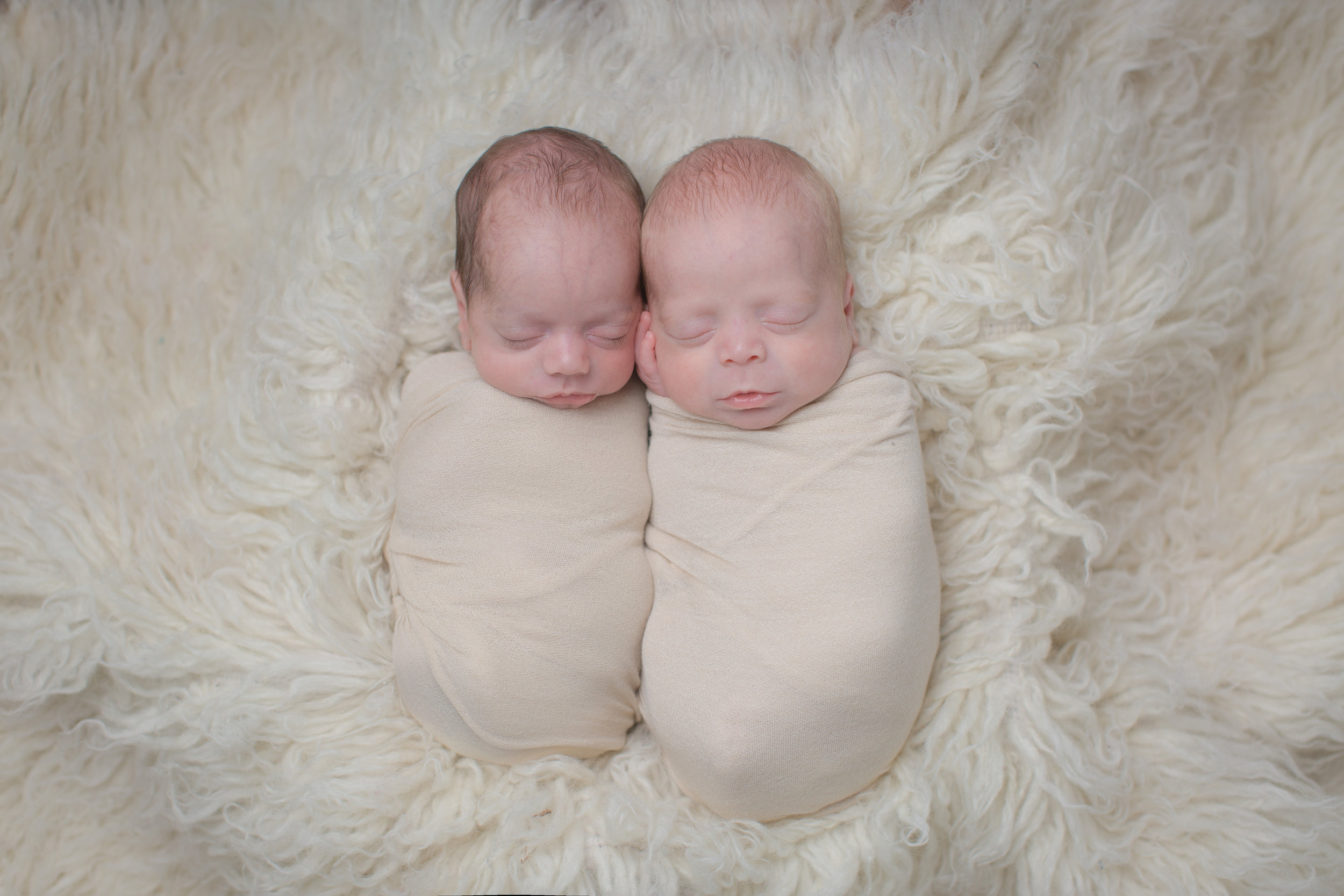 quadruplet-newborn-portraits-multiple-photographer-newborn-photos-babies-photos