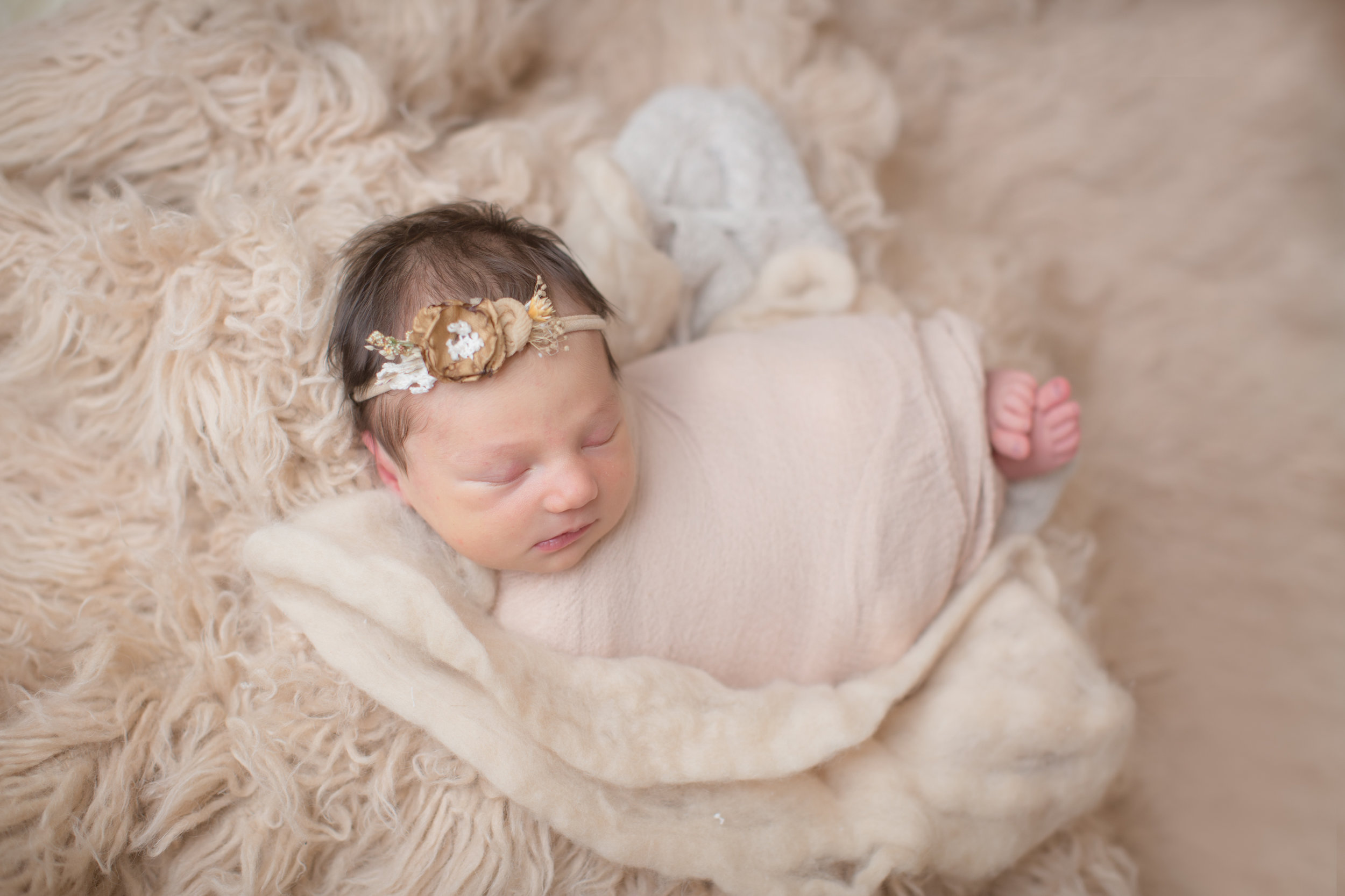  newborn baby laying on a neutral backdrop wrapped in tan with headband in studio session 