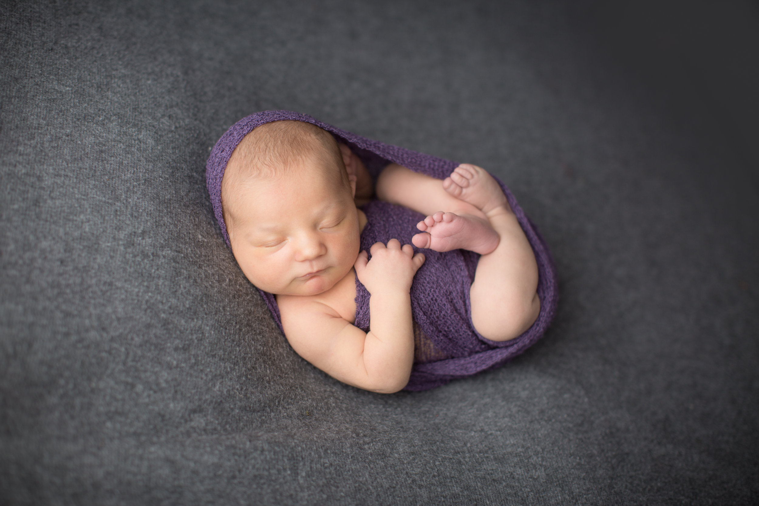  fenton newborn photography with baby girl wrapped in purple 