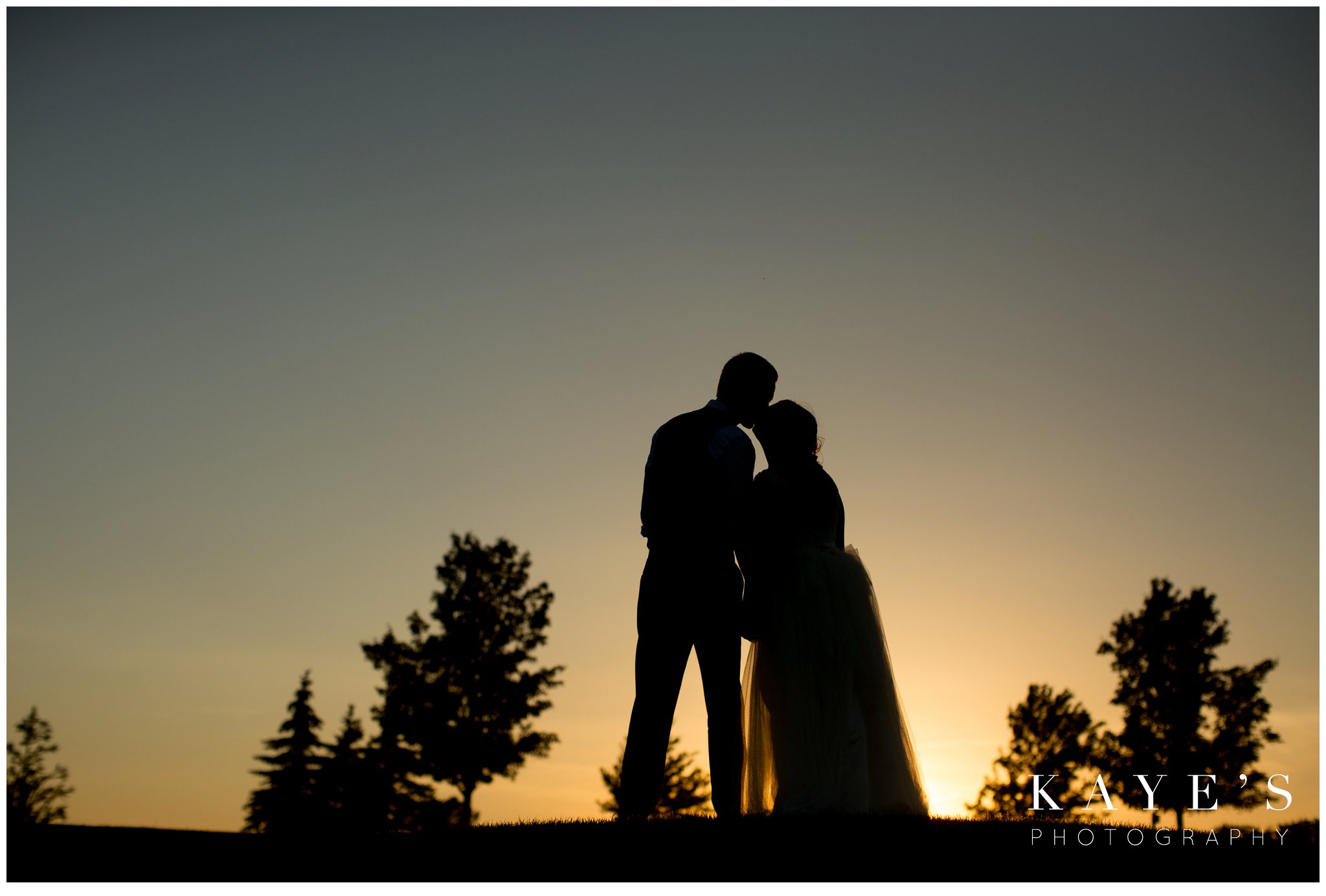 Kayes Photography- howell-michigan-wedding-photographer_0769.jpg