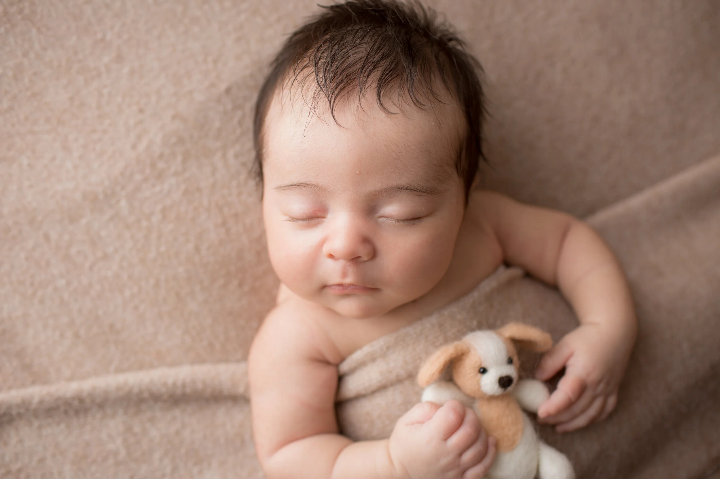 newborn baby boy under blanket holding a puppy for professional photo session.