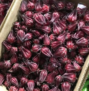 DRIED ROSELLA FLOWERS