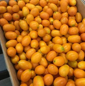 CUMQUATS