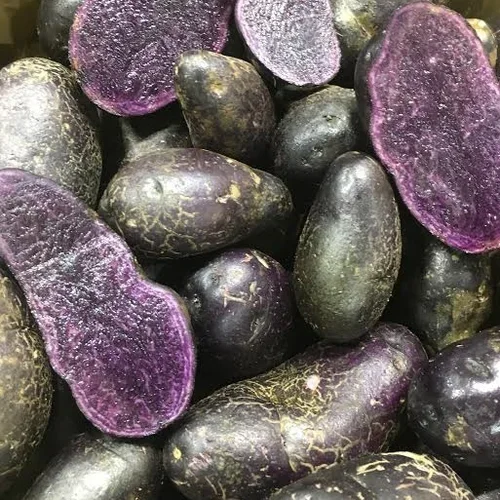 PURPLE BLISS POTATOES