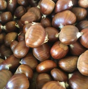 CHESTNUTS