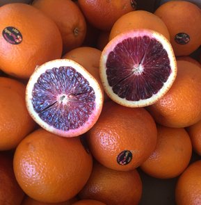 BLOOD ORANGES