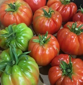HEIRLOOM TOMATOES