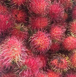 RAMBUTANS 