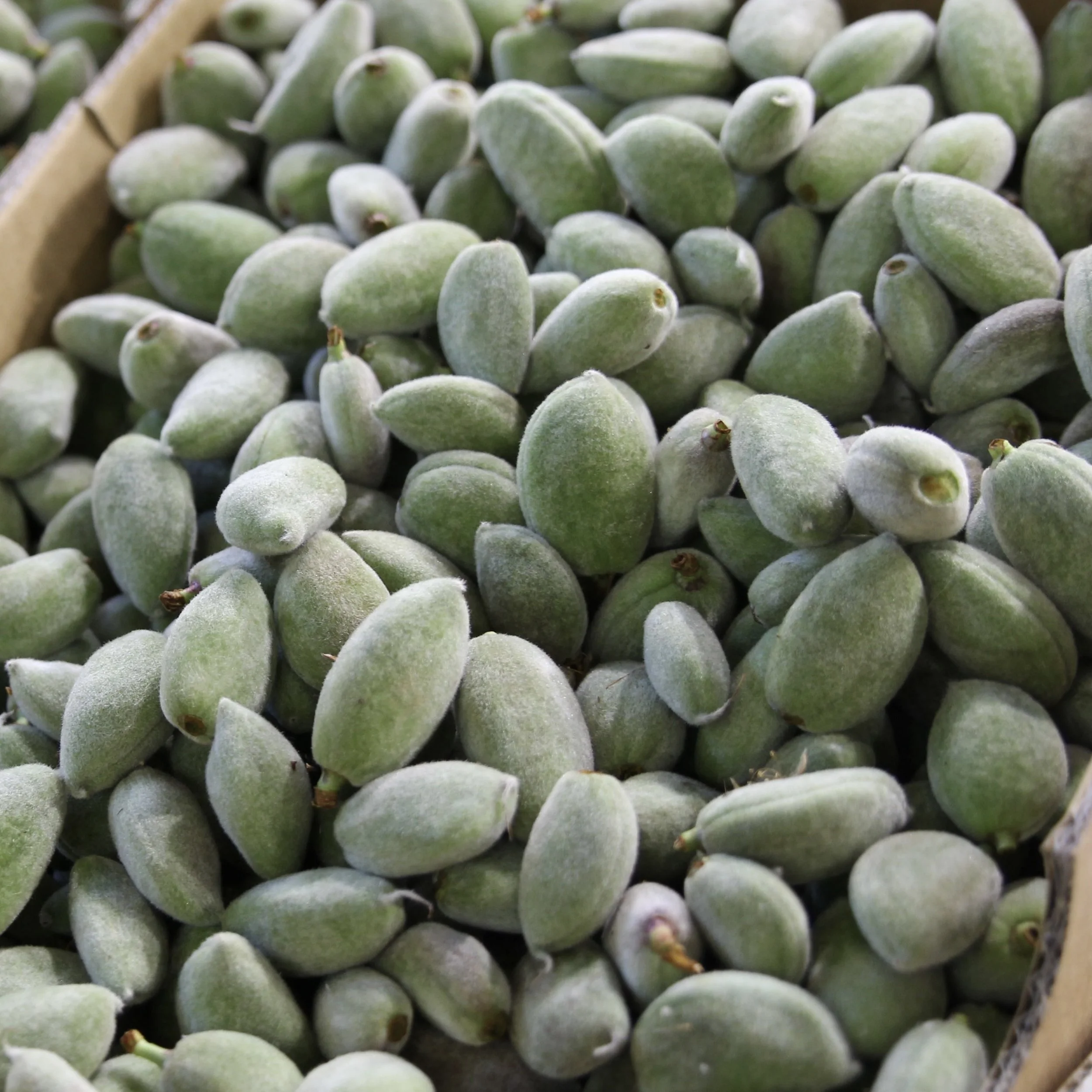 GREEN ALMONDS