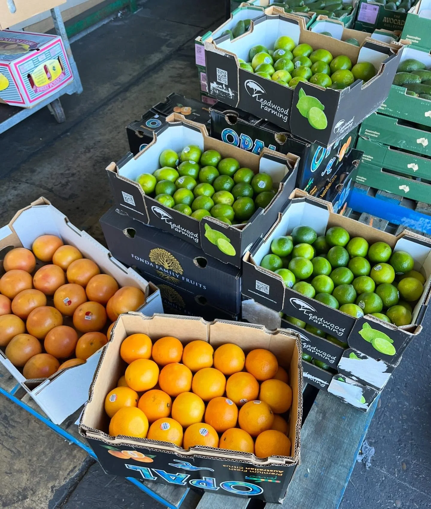Citrus season is here and Navel oranges are back in the markets! 🍊🍊🍊