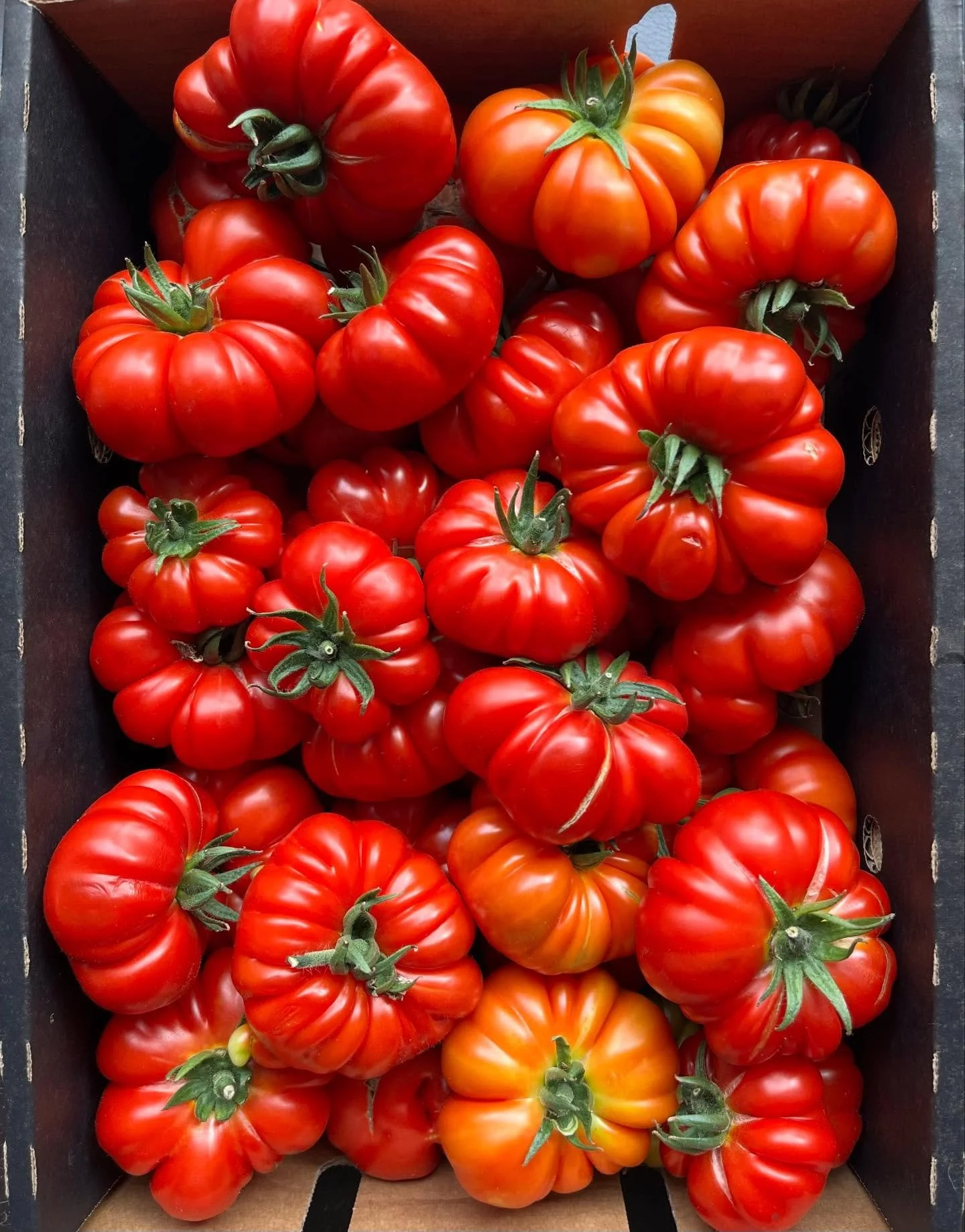 If your tomatoes don&rsquo;t look like this&hellip; you&rsquo;re missing out!🍅❤️🍅❤️

#tomatoes #heirloom #sydneyfood #chefsoninstagram #seasonalproduce