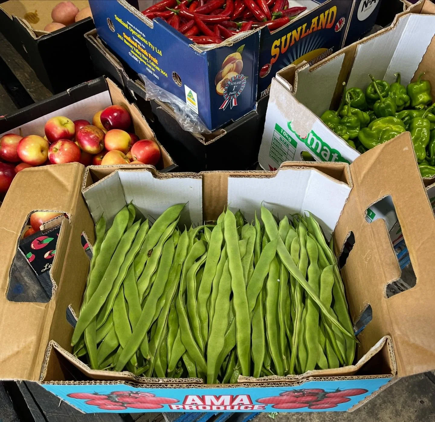 We&rsquo;re seeing the shift into autumn produce - Continental beans, Missile apples, Shepard avocados and fennel all coming into season as the weather cools. 

#chefsofinsta #sydneyfood #autumn #fruitandveg #seasonalproduce