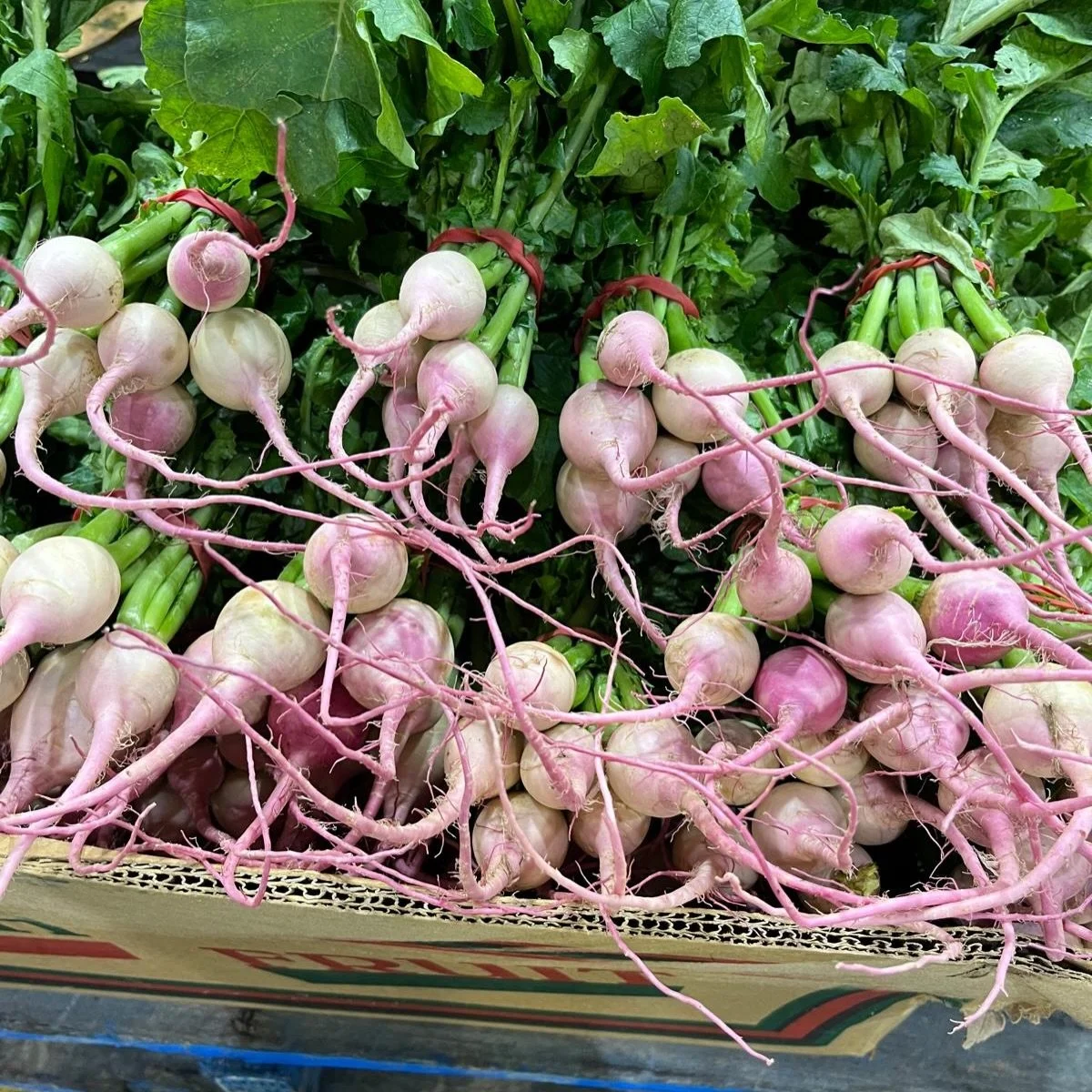 We are in the last weeks of Autumn 🍂 and there are some beautiful colours of vegetables in the Market that you can bring to the plate! 

Pictured: WATERMELON RADISH, JERUSALEM ARTICHOKES, HABANERO CHILLIES, FENNEL, BABY CARROTS, PERSIMMONS

#chefsof