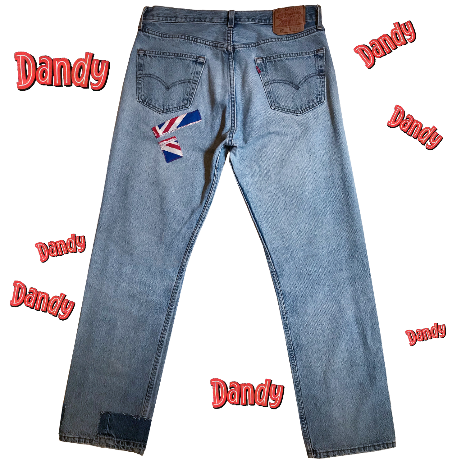 DandyBack (1).png
