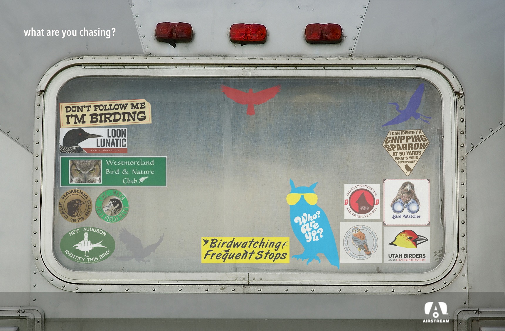 birdwatching.png