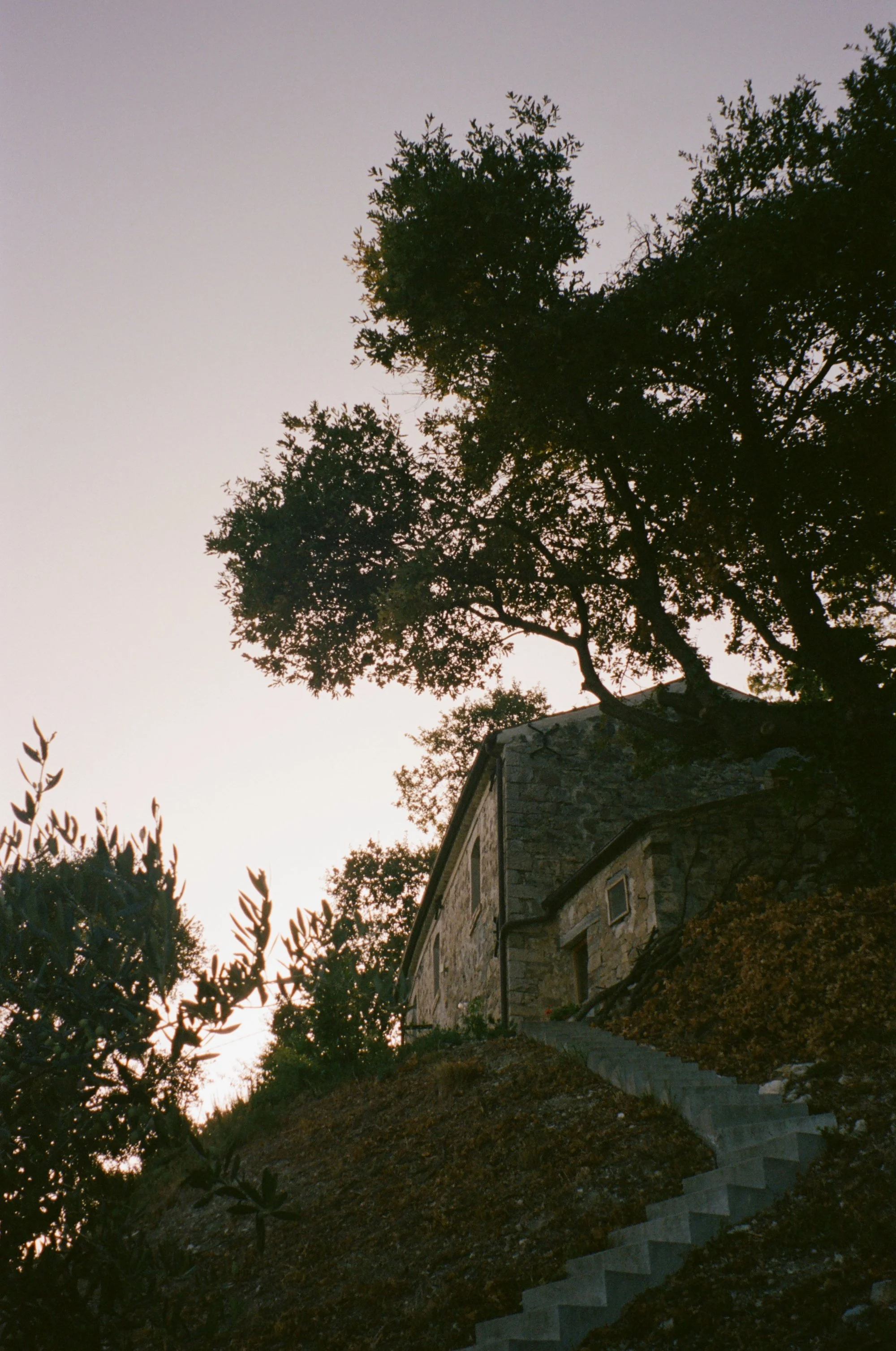 kodak_professional_portra_400_11_02_2023_000205480006 2.JPG