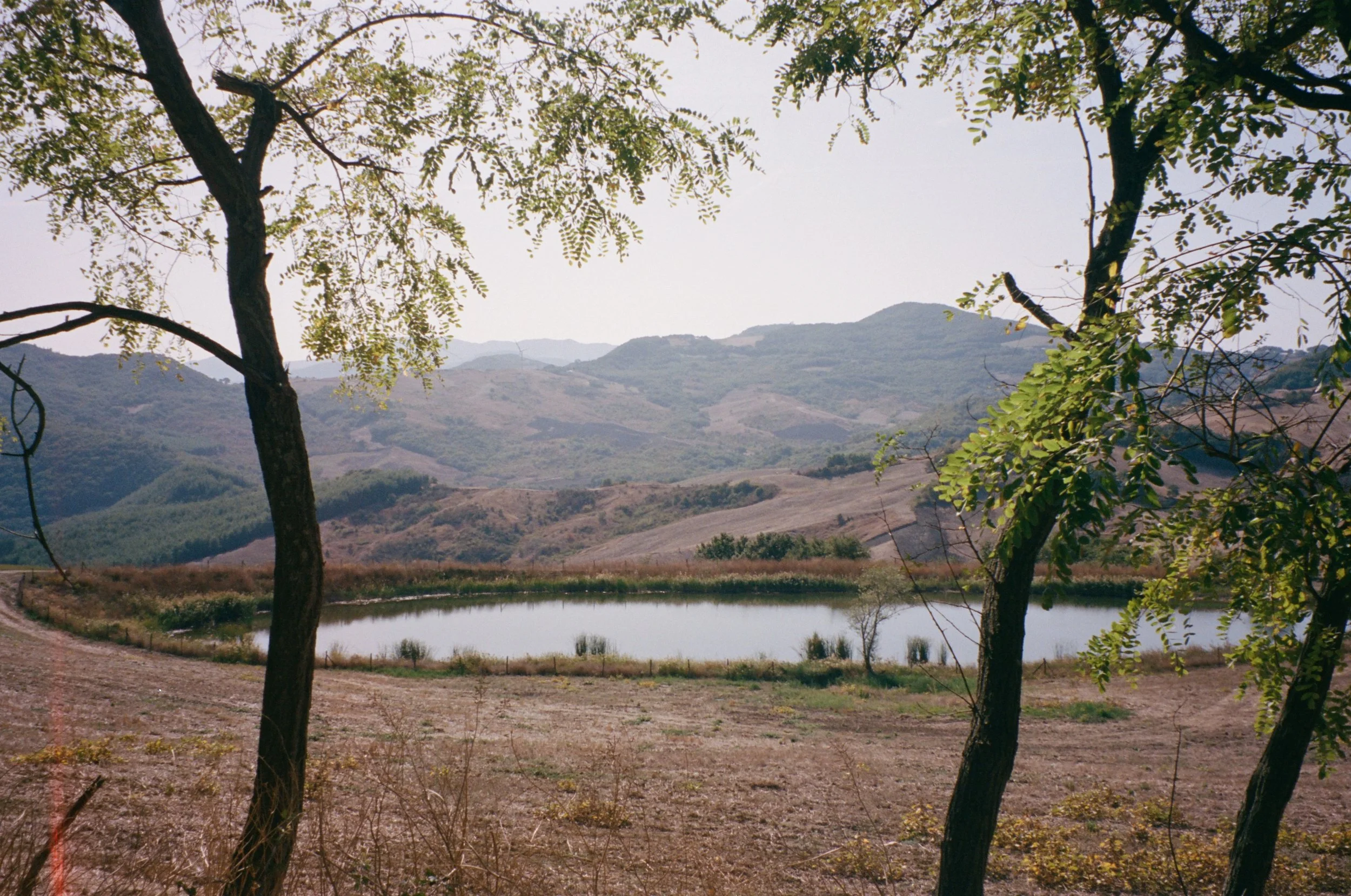 kodak_professional_portra_400_11_02_2023_000205480009 2.JPG