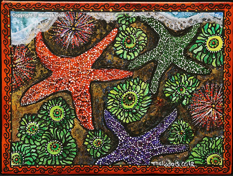 STAR-14_MagicCarpet_Copyright_Melissa_Cole