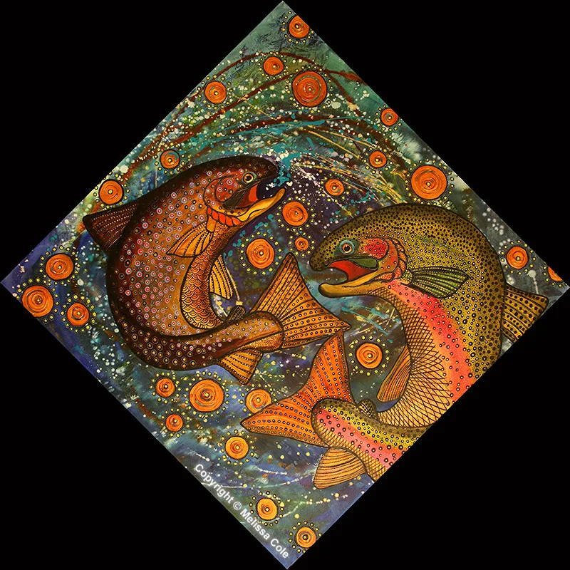 TRT-62_PollockTrout_Copyright_Melissa_Cole.jpg
