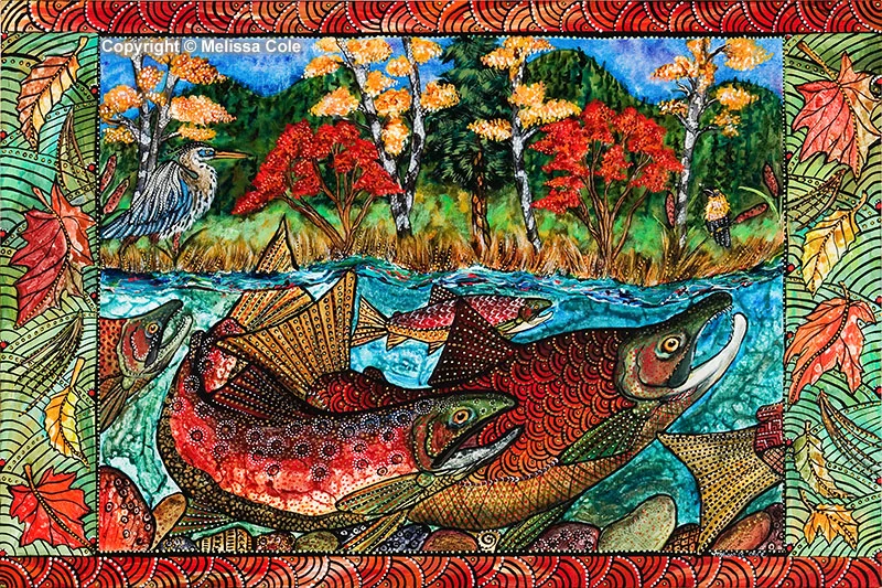 SAL-88_FallSalmon_Copyright_Melissa_Cole.jpg