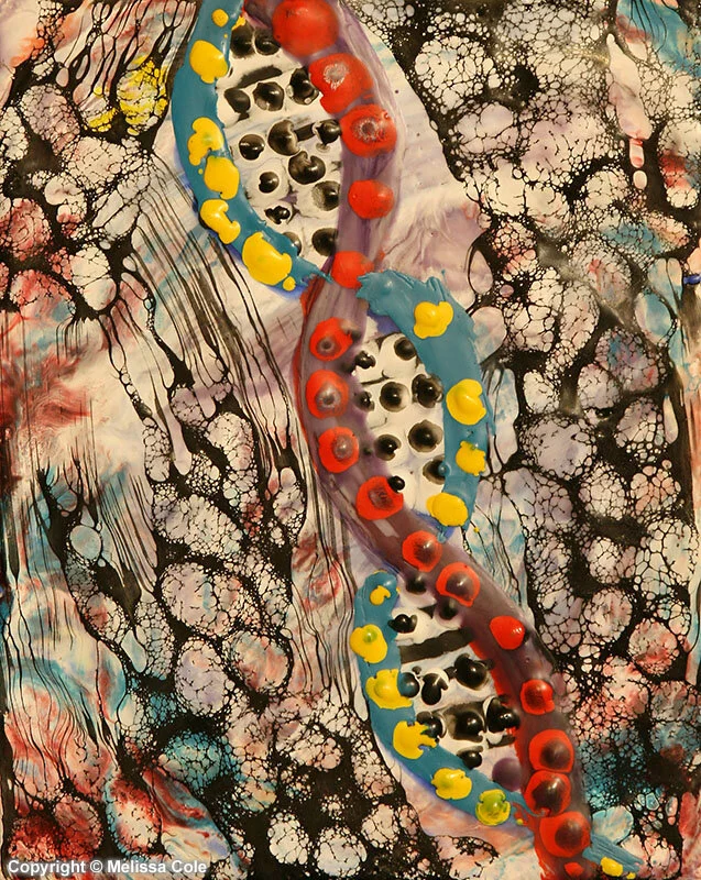 CEL-18_ChainOfLife_Copyright_Melissa_Cole.jpg