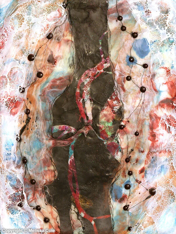 CEL-20_Patella_Copyright_Melissa_Cole.jpg