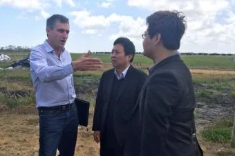 VDL Farms continues plans to export fresh milk to China despite chief executive resignation